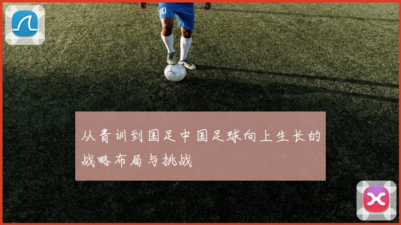 从青训到国足中国足球向上生长的战略布局与挑战